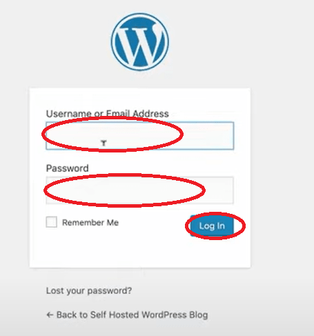 WordPress Login