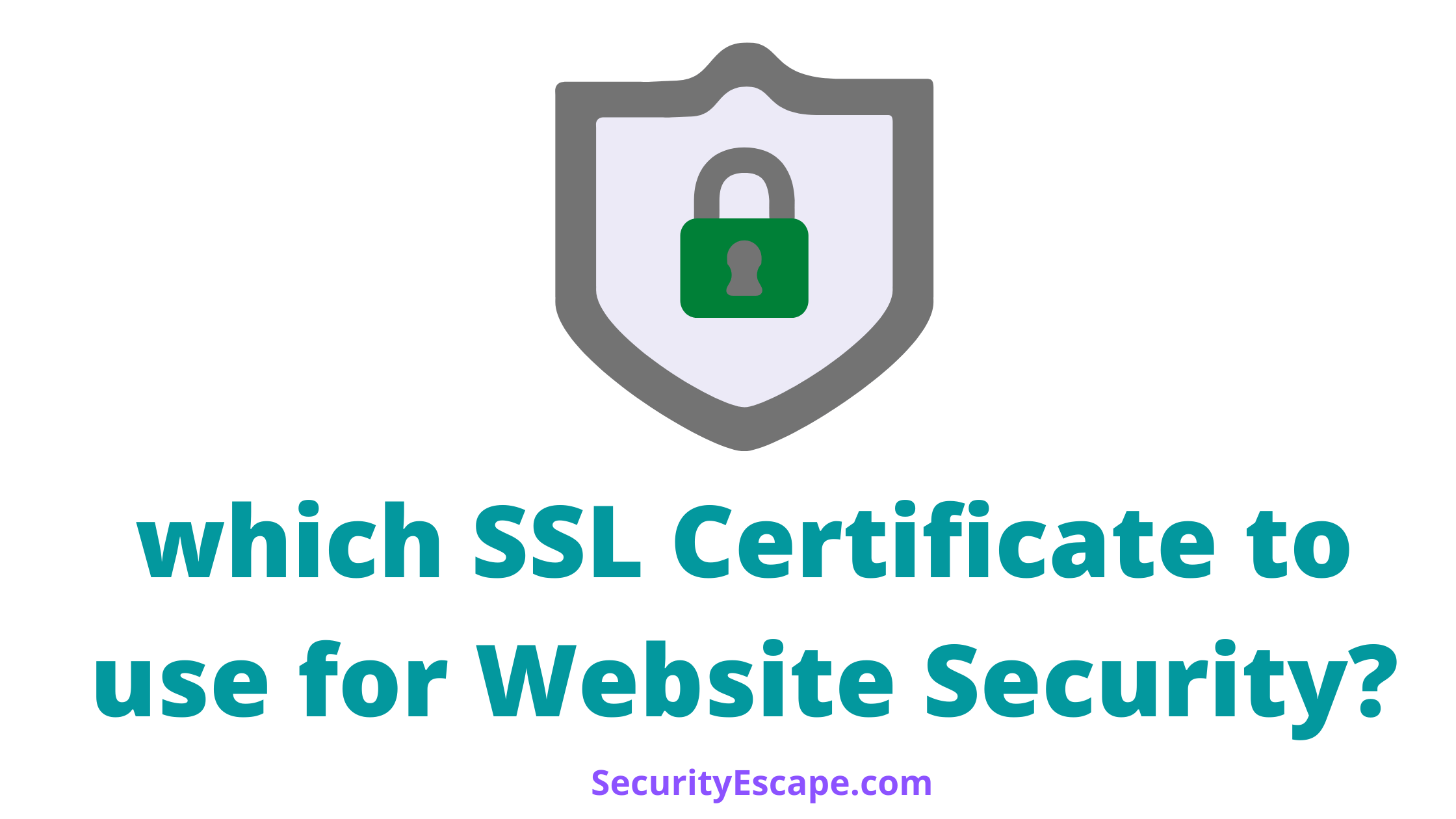 Which SSL Certificate to use for Website Security