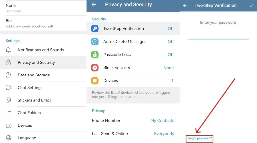Telegram reset password steps